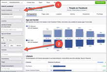 schermata della piattaforma audience insight